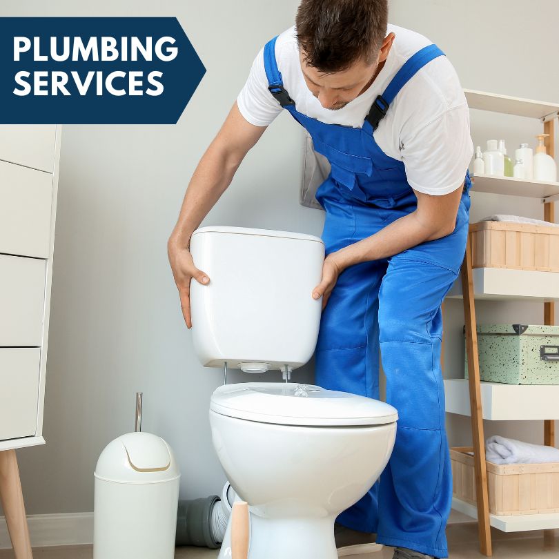 Plumbing Company in Pinetop, AZ